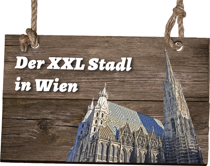 Holzschild mit Aufschrift und Stephansdom