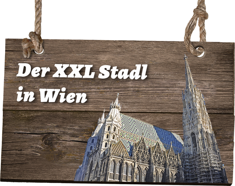 Holzschild mit Aufschrift und Stephansdom